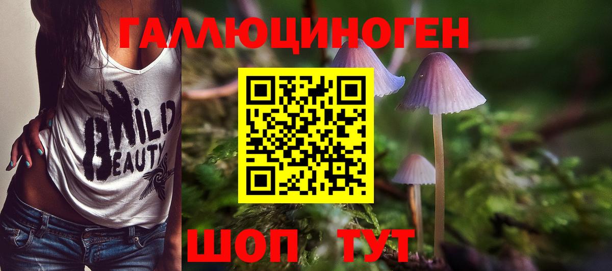 Псилоцибиновые грибы прущие грибы  Вход с VPN  Галлюциногенные грибы Psilocybine cubensis  Приморско-Ахтарск 